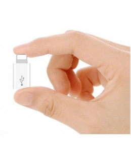 Adaptateur micro USB  pour Iphone
